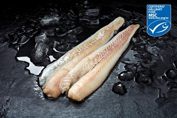 Alaska pollockfilé MSC 120-170gr